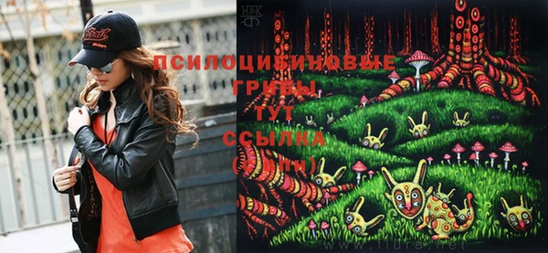 соль ск Надым