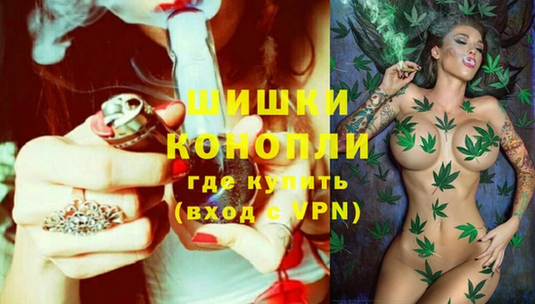 соль ск Надым