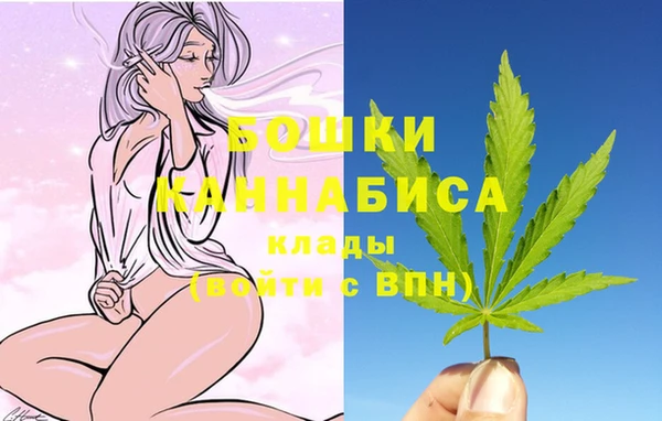 соль ск Надым