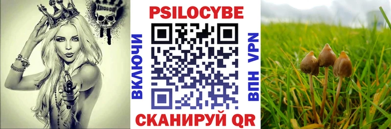 Галлюциногенные грибы Cubensis  магазин продажи   Кремёнки 